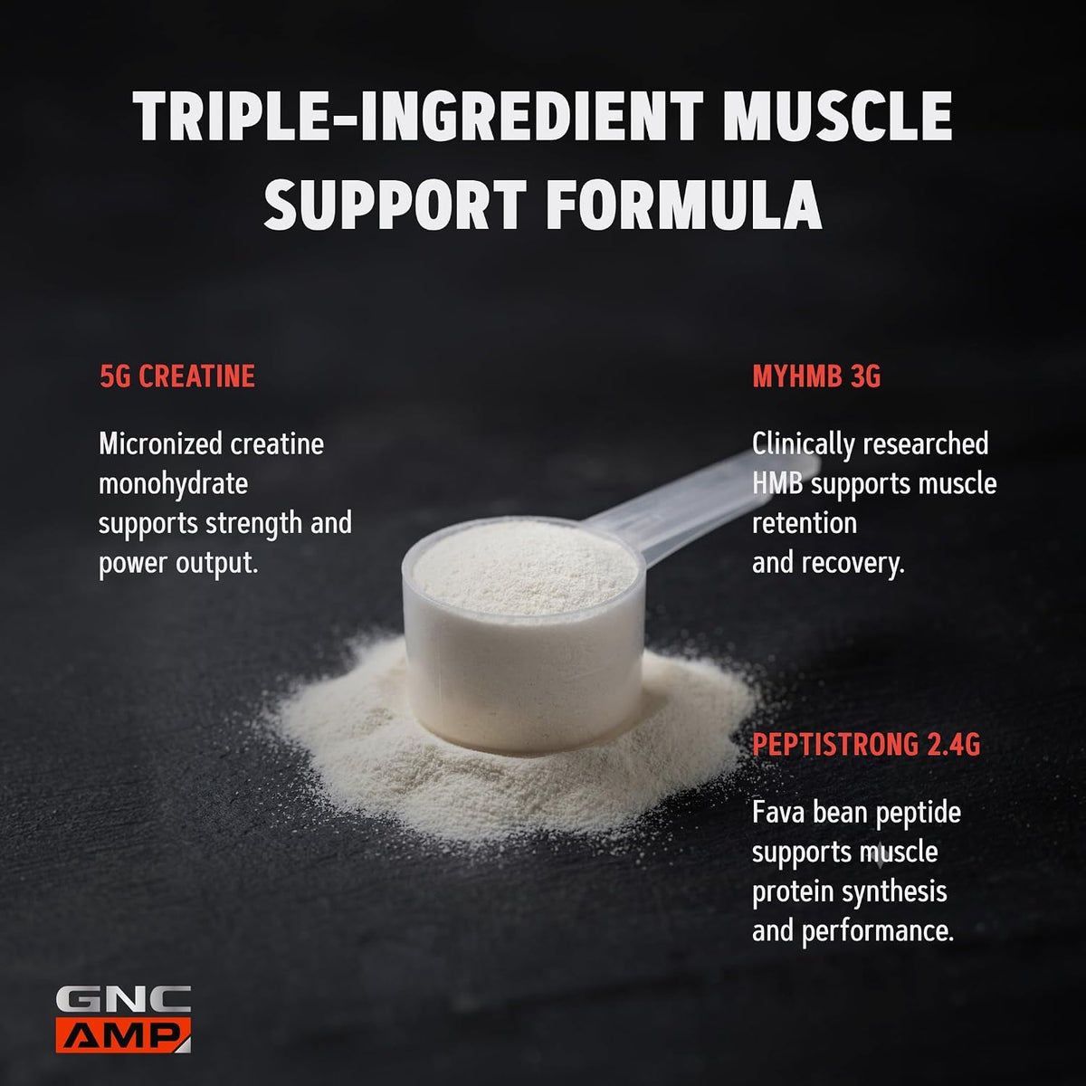 AMP Creabolic Creatine Monohydrate Powder, Lemonade, 30 Servings